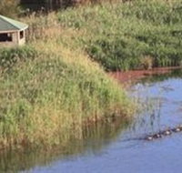 Spring Creek Wetlands Walk - Tweed Heads Accommodation