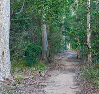 Delta track - Tweed Heads Accommodation