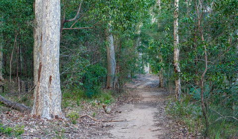 Delta Track - Tweed Heads Accommodation 0
