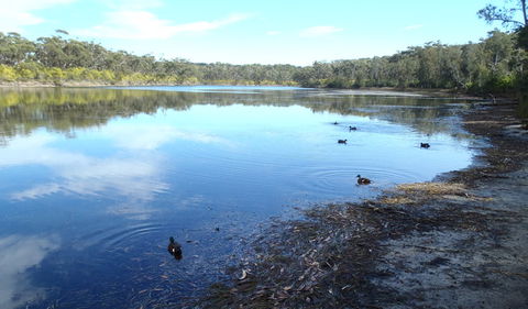 Conjola National Park - Tweed Heads Accommodation 1