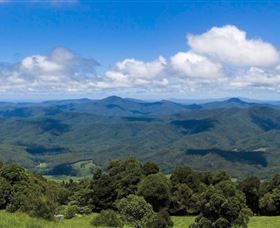 Griffith Lookout - Tweed Heads Accommodation 0