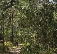 Sand track walk south - Tweed Heads Accommodation