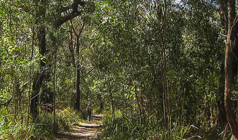 Sand Track Walk (south) - Tweed Heads Accommodation 0