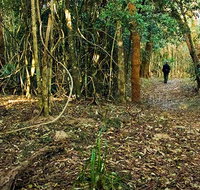 Sand track walk north - Tweed Heads Accommodation