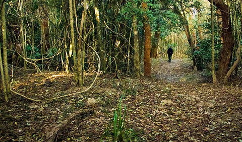 Sand Track Walk (north) - Tweed Heads Accommodation 0