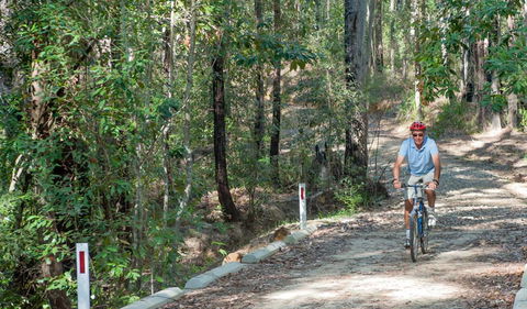 Monument Beach Ride From Bendalong - Tweed Heads Accommodation 2