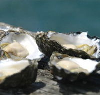 Jim Wilds Oyster Service - Tweed Heads Accommodation