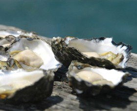 Jim Wilds Oyster Service - Tweed Heads Accommodation 0