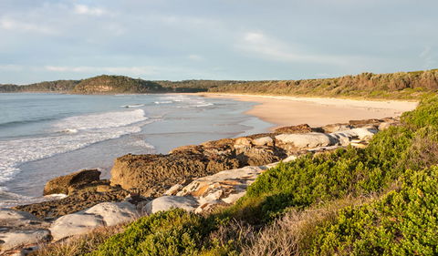 Burrawang Track - Conjola Beach To Buckleys Point - Tweed Heads Accommodation 0