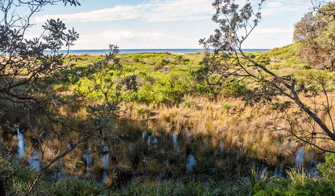 Burrawang Track - Conjola Beach To Buckleys Point - Tweed Heads Accommodation 1