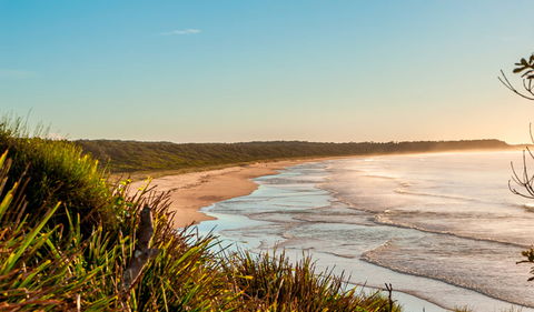 Burrawang Track - Conjola Beach To Buckleys Point - Tweed Heads Accommodation 2