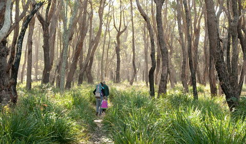 Nerindillah Lagoon Walking Track - Tweed Heads Accommodation 3
