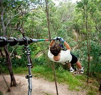 TreeTop Challenge - Tweed Heads Accommodation