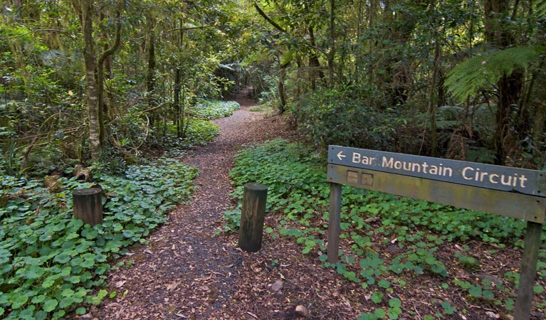 Upper Horseshoe Creek NSW Tweed Heads Accommodation