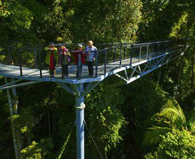 Tamborine Rainforest Skywalk - Tweed Heads Accommodation 1