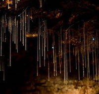 Tamborine Mountain Glow Worm Caves - Tweed Heads Accommodation