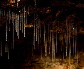 Tamborine Mountain Glow Worm Caves - Tweed Heads Accommodation 0