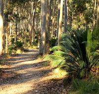 Square Head track 2 - Tweed Heads Accommodation
