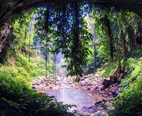Dorrigo Rainforest Centre - Tweed Heads Accommodation 1