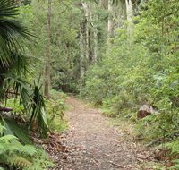 Lake walking track - Tweed Heads Accommodation
