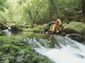 Lower Ballanjui Falls - Tweed Heads Accommodation 0