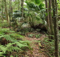 Durras Lake Discovery trail - Tweed Heads Accommodation