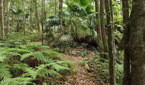 Durras Lake Discovery Trail - Tweed Heads Accommodation 0
