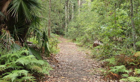 Durras Lake Discovery Trail - Tweed Heads Accommodation 1