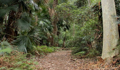 Durras Lake Discovery Trail - Tweed Heads Accommodation 2