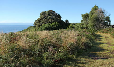Pretty Beach To Durras Mountain Walking Track - Tweed Heads Accommodation 2