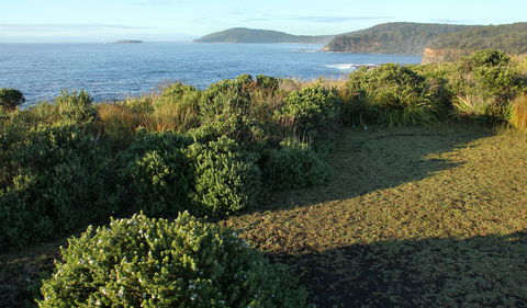 Pretty Beach To Durras Mountain Walking Track - Tweed Heads Accommodation 3