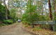 Depot Beach Rainforest Walk - thumb 1