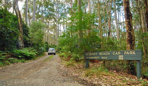 Depot Beach Rainforest Walk - Tweed Heads Accommodation 1
