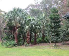 Booderee National Park Botanic Gardens - Tweed Heads Accommodation 4