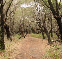 Pretty Beach to Snapper Point walking track - Tweed Heads Accommodation