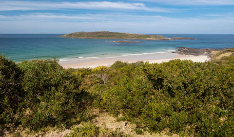 Murramarang Aboriginal Area - Tweed Heads Accommodation 0
