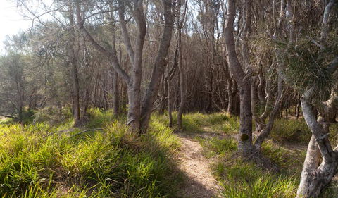 Murramarang Aboriginal Area Walking Track - Tweed Heads Accommodation 1