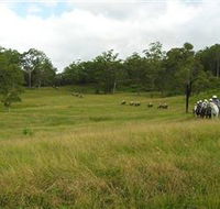 Numinbah Valley Adventure Trails - Tweed Heads Accommodation