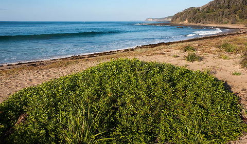 Richmond Beach - Tweed Heads Accommodation 0
