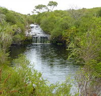 Booderee National Park Green Patch and Telegraph Creek Walking Tracks - Tweed Heads Accommodation