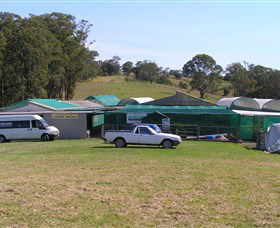Tinonee Orchid Nursery - Tweed Heads Accommodation 0