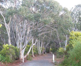 Booderee National Park: Munyunga Waraga Dhugan Walking Trail - Tweed Heads Accommodation 3