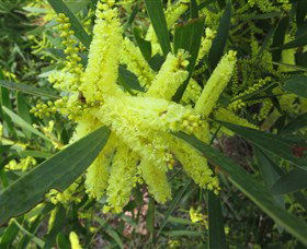 Booderee National Park: Munyunga Waraga Dhugan Walking Trail - Tweed Heads Accommodation 1