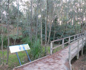 Booderee National Park: Munyunga Waraga Dhugan Walking Trail - Tweed Heads Accommodation 8