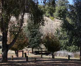 Oak Grove Walk, Balingup - Tweed Heads Accommodation 2