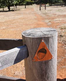 Oak Grove Walk, Balingup - Tweed Heads Accommodation 3