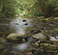 Plateau Circuit loop trail - Tweed Heads Accommodation