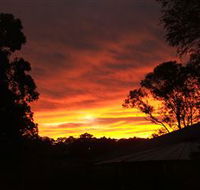 Tinonee Museum - Tweed Heads Accommodation