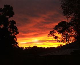 Tinonee Museum - Tweed Heads Accommodation 0