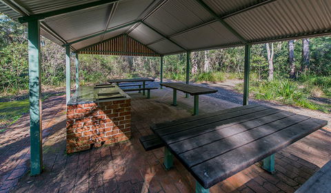 Brimbin Nature Reserve - Tweed Heads Accommodation 1